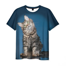 Мужская футболка 3D с принтом Мейн-кун 2 в Курске, 100% полиэфир | прямой крой, круглый вырез горловины, длина до линии бедер | кот | котенок | котик | котэ | кошка | мейн кун | мейнкун | мэйн кун | мэйнкун