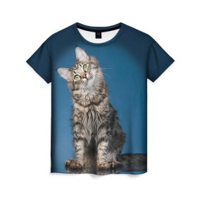 Женская футболка 3D с принтом Мейн-кун 2 в Курске, 100% полиэфир ( синтетическое хлопкоподобное полотно) | прямой крой, круглый вырез горловины, длина до линии бедер | кот | котенок | котик | котэ | кошка | мейн кун | мейнкун | мэйн кун | мэйнкун