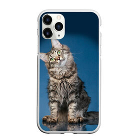 Чехол для iPhone 11 Pro Max матовый с принтом Мейн-кун 2 в Курске, Силикон |  | кот | котенок | котик | котэ | кошка | мейн кун | мейнкун | мэйн кун | мэйнкун