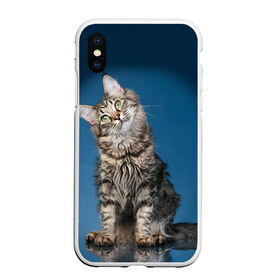 Чехол для iPhone XS Max матовый с принтом Мейн-кун 2 в Курске, Силикон | Область печати: задняя сторона чехла, без боковых панелей | кот | котенок | котик | котэ | кошка | мейн кун | мейнкун | мэйн кун | мэйнкун