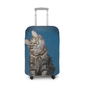 Чехол для чемодана 3D с принтом Мейн-кун 2 в Курске, 86% полиэфир, 14% спандекс | двустороннее нанесение принта, прорези для ручек и колес | кот | котенок | котик | котэ | кошка | мейн кун | мейнкун | мэйн кун | мэйнкун