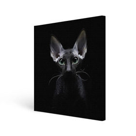 Холст квадратный с принтом Сфинкс 2 в Курске, 100% ПВХ |  | кот | котенок | котик | котэ | кошка | сфинкс