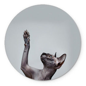 Коврик круглый с принтом Сфинкс 3 в Курске, резина и полиэстер | круглая форма, изображение наносится на всю лицевую часть | Тематика изображения на принте: кот | котенок | котик | котэ | кошка | сфинкс