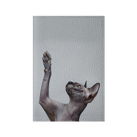 Обложка для паспорта матовая кожа с принтом Сфинкс 3 в Курске, натуральная матовая кожа | размер 19,3 х 13,7 см; прозрачные пластиковые крепления | кот | котенок | котик | котэ | кошка | сфинкс