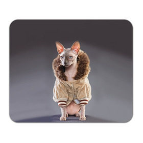 Коврик прямоугольный с принтом Сфинкс 4 в Курске, натуральный каучук | размер 230 х 185 мм; запечатка лицевой стороны | Тематика изображения на принте: кот | котенок | котик | котэ | кошка | сфинкс