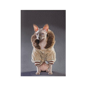 Обложка для паспорта матовая кожа с принтом Сфинкс 4 в Курске, натуральная матовая кожа | размер 19,3 х 13,7 см; прозрачные пластиковые крепления | кот | котенок | котик | котэ | кошка | сфинкс