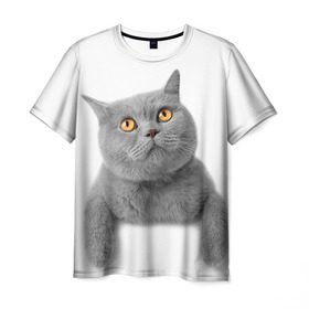 Мужская футболка 3D с принтом Британец 2 в Курске, 100% полиэфир | прямой крой, круглый вырез горловины, длина до линии бедер | Тематика изображения на принте: британец | британская | британцы | кот | котенок | котик | котэ | кошка