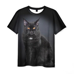 Мужская футболка 3D с принтом Мейн-кун 3 в Курске, 100% полиэфир | прямой крой, круглый вырез горловины, длина до линии бедер | кот | котенок | котик | котэ | кошка | мейн кун | мейнкун | мэйн кун | мэйнкун