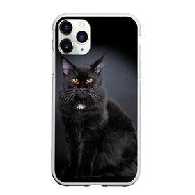 Чехол для iPhone 11 Pro матовый с принтом Мейн-кун 3 в Курске, Силикон |  | кот | котенок | котик | котэ | кошка | мейн кун | мейнкун | мэйн кун | мэйнкун