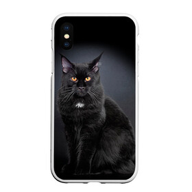 Чехол для iPhone XS Max матовый с принтом Мейн-кун 3 в Курске, Силикон | Область печати: задняя сторона чехла, без боковых панелей | кот | котенок | котик | котэ | кошка | мейн кун | мейнкун | мэйн кун | мэйнкун