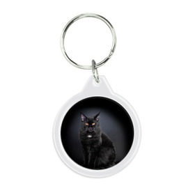 Брелок круглый с принтом Мейн-кун 3 в Курске, пластик и полированная сталь | круглая форма, металлическое крепление в виде кольца | кот | котенок | котик | котэ | кошка | мейн кун | мейнкун | мэйн кун | мэйнкун
