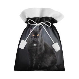 Подарочный 3D мешок с принтом Мейн-кун 3 в Курске, 100% полиэстер | Размер: 29*39 см | Тематика изображения на принте: кот | котенок | котик | котэ | кошка | мейн кун | мейнкун | мэйн кун | мэйнкун