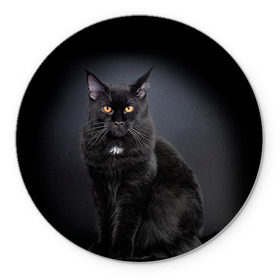 Коврик круглый с принтом Мейн-кун 3 в Курске, резина и полиэстер | круглая форма, изображение наносится на всю лицевую часть | Тематика изображения на принте: кот | котенок | котик | котэ | кошка | мейн кун | мейнкун | мэйн кун | мэйнкун