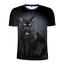 Мужская футболка 3D спортивная с принтом Мейн-кун 3 в Курске, 100% полиэстер с улучшенными характеристиками | приталенный силуэт, круглая горловина, широкие плечи, сужается к линии бедра | кот | котенок | котик | котэ | кошка | мейн кун | мейнкун | мэйн кун | мэйнкун