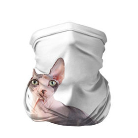Бандана-труба 3D с принтом Сфинкс 5 в Курске, 100% полиэстер, ткань с особыми свойствами — Activecool | плотность 150‒180 г/м2; хорошо тянется, но сохраняет форму | кот | котенок | котик | котэ | кошка | сфинкс