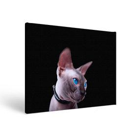 Холст прямоугольный с принтом Сфинкс 6 в Курске, 100% ПВХ |  | кот | котенок | котик | котэ | кошка | сфинкс