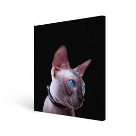 Холст квадратный с принтом Сфинкс 6 в Курске, 100% ПВХ |  | кот | котенок | котик | котэ | кошка | сфинкс