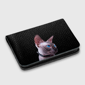Картхолдер с принтом с принтом Сфинкс 6 в Курске, натуральная матовая кожа | размер 7,3 х 10 см; кардхолдер имеет 4 кармана для карт; | Тематика изображения на принте: кот | котенок | котик | котэ | кошка | сфинкс