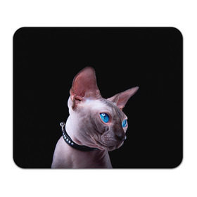 Коврик прямоугольный с принтом Сфинкс 6 в Курске, натуральный каучук | размер 230 х 185 мм; запечатка лицевой стороны | Тематика изображения на принте: кот | котенок | котик | котэ | кошка | сфинкс