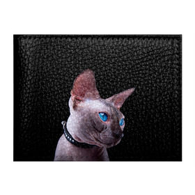 Обложка для студенческого билета с принтом Сфинкс 6 в Курске, натуральная кожа | Размер: 11*8 см; Печать на всей внешней стороне | кот | котенок | котик | котэ | кошка | сфинкс