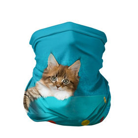 Бандана-труба 3D с принтом Мейн-кун 4 в Курске, 100% полиэстер, ткань с особыми свойствами — Activecool | плотность 150‒180 г/м2; хорошо тянется, но сохраняет форму | кот | котенок | котик | котэ | кошка | мейн кун | мейнкун | мэйн кун | мэйнкун