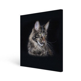 Холст квадратный с принтом Мейн-кун 5 в Курске, 100% ПВХ |  | кот | котенок | котик | котэ | кошка | мейн кун | мейнкун | мэйн кун | мэйнкун