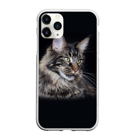 Чехол для iPhone 11 Pro матовый с принтом Мейн-кун 5 в Курске, Силикон |  | кот | котенок | котик | котэ | кошка | мейн кун | мейнкун | мэйн кун | мэйнкун