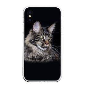 Чехол для iPhone XS Max матовый с принтом Мейн-кун 5 в Курске, Силикон | Область печати: задняя сторона чехла, без боковых панелей | кот | котенок | котик | котэ | кошка | мейн кун | мейнкун | мэйн кун | мэйнкун