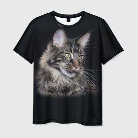 Мужская футболка 3D с принтом Мейн-кун 5 в Курске, 100% полиэфир | прямой крой, круглый вырез горловины, длина до линии бедер | кот | котенок | котик | котэ | кошка | мейн кун | мейнкун | мэйн кун | мэйнкун