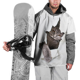 Накидка на куртку 3D с принтом Британец 4 в Курске, 100% полиэстер |  | британец | британская | британцы | кот | котенок | котик | котэ | кошка