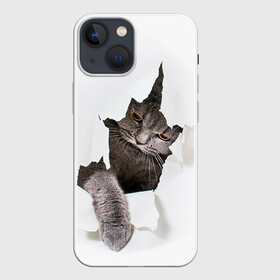 Чехол для iPhone 13 mini с принтом Британец 4 в Курске,  |  | британец | британская | британцы | кот | котенок | котик | котэ | кошка