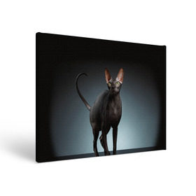 Холст прямоугольный с принтом Сфинкс 7 в Курске, 100% ПВХ |  | Тематика изображения на принте: кот | котенок | котик | котэ | кошка | сфинкс