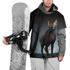 Накидка на куртку 3D с принтом Сфинкс 7 в Курске, 100% полиэстер |  | кот | котенок | котик | котэ | кошка | сфинкс