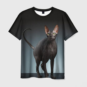Мужская футболка 3D с принтом Сфинкс 7 в Курске, 100% полиэфир | прямой крой, круглый вырез горловины, длина до линии бедер | кот | котенок | котик | котэ | кошка | сфинкс