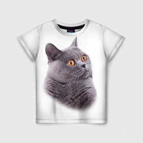 Детская футболка 3D с принтом Британец 5 в Курске, 100% гипоаллергенный полиэфир | прямой крой, круглый вырез горловины, длина до линии бедер, чуть спущенное плечо, ткань немного тянется | британец | британская | британцы | кот | котенок | котик | котэ | кошка