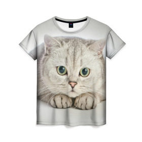 Женская футболка 3D с принтом Британец 6 в Курске, 100% полиэфир ( синтетическое хлопкоподобное полотно) | прямой крой, круглый вырез горловины, длина до линии бедер | британец | британская | британцы | кот | котенок | котик | котэ | кошка