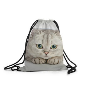 Рюкзак-мешок 3D с принтом Британец 6 в Курске, 100% полиэстер | плотность ткани — 200 г/м2, размер — 35 х 45 см; лямки — толстые шнурки, застежка на шнуровке, без карманов и подкладки | британец | британская | британцы | кот | котенок | котик | котэ | кошка