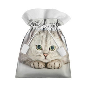Подарочный 3D мешок с принтом Британец 6 в Курске, 100% полиэстер | Размер: 29*39 см | Тематика изображения на принте: британец | британская | британцы | кот | котенок | котик | котэ | кошка