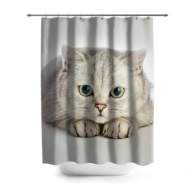 Штора 3D для ванной с принтом Британец 6 в Курске, 100% полиэстер | плотность материала — 100 г/м2. Стандартный размер — 146 см х 180 см. По верхнему краю — пластиковые люверсы для креплений. В комплекте 10 пластиковых колец | британец | британская | британцы | кот | котенок | котик | котэ | кошка