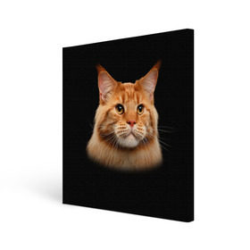 Холст квадратный с принтом Мейн-кун 6 в Курске, 100% ПВХ |  | кот | котенок | котик | котэ | кошка | мейн кун | мейнкун | мэйн кун | мэйнкун