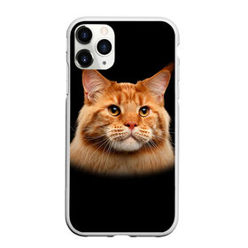 Чехол для iPhone 11 Pro Max матовый с принтом Мейн-кун 6 в Курске, Силикон |  | кот | котенок | котик | котэ | кошка | мейн кун | мейнкун | мэйн кун | мэйнкун