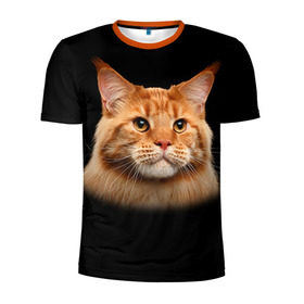Мужская футболка 3D спортивная с принтом Мейн-кун 6 в Курске, 100% полиэстер с улучшенными характеристиками | приталенный силуэт, круглая горловина, широкие плечи, сужается к линии бедра | кот | котенок | котик | котэ | кошка | мейн кун | мейнкун | мэйн кун | мэйнкун