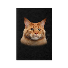 Обложка для паспорта матовая кожа с принтом Мейн-кун 6 в Курске, натуральная матовая кожа | размер 19,3 х 13,7 см; прозрачные пластиковые крепления | кот | котенок | котик | котэ | кошка | мейн кун | мейнкун | мэйн кун | мэйнкун