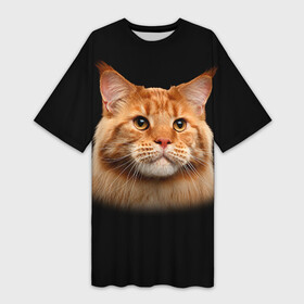 Платье-футболка 3D с принтом Мейн кун 6 в Курске,  |  | кот | котенок | котик | котэ | кошка | мейн кун | мейнкун | мэйн кун | мэйнкун