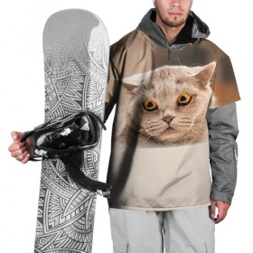 Накидка на куртку 3D с принтом Британец 7 в Курске, 100% полиэстер |  | Тематика изображения на принте: британец | британская | британцы | кот | котенок | котик | котэ | кошка