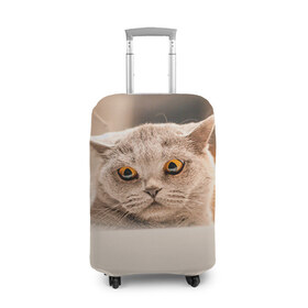 Чехол для чемодана 3D с принтом Британец 7 в Курске, 86% полиэфир, 14% спандекс | двустороннее нанесение принта, прорези для ручек и колес | Тематика изображения на принте: британец | британская | британцы | кот | котенок | котик | котэ | кошка
