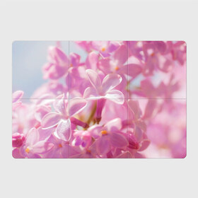 Магнитный плакат 3Х2 с принтом Душистая сирень в Курске, Полимерный материал с магнитным слоем | 6 деталей размером 9*9 см | лепестки | прикольные картинки | сирень | цветение | цветочки | цветы