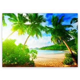 Поздравительная открытка с принтом Тропики в Курске, 100% бумага | плотность бумаги 280 г/м2, матовая, на обратной стороне линовка и место для марки
 | берег | лето | море | отдых | тропики