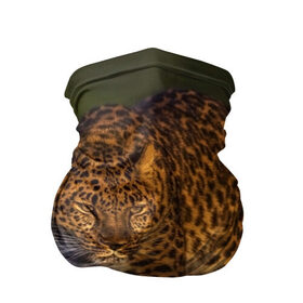 Бандана-труба 3D с принтом Дальневосточный леопард в Курске, 100% полиэстер, ткань с особыми свойствами — Activecool | плотность 150‒180 г/м2; хорошо тянется, но сохраняет форму | дикая кошка | леопард | природа | хищник