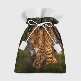 Подарочный 3D мешок с принтом Дальневосточный леопард в Курске, 100% полиэстер | Размер: 29*39 см | дикая кошка | леопард | природа | хищник
